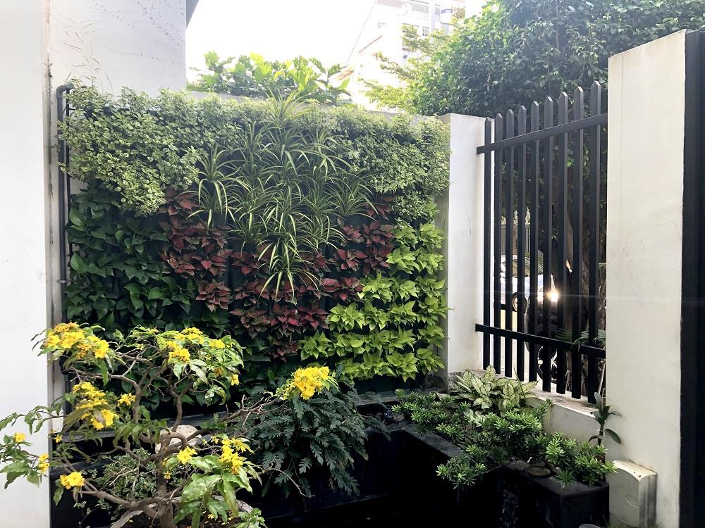 TRANG TRÍ NGÔI NHÀ VỚI VƯỜN TƯỜNG XANH