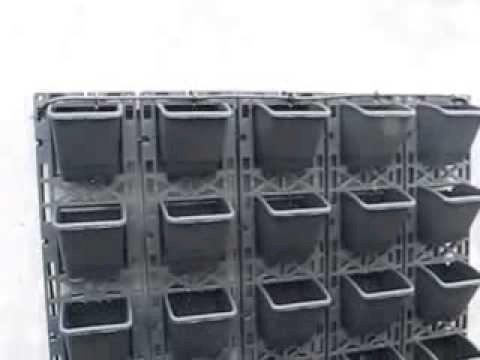 MODUL VƯỜN TƯỜNG