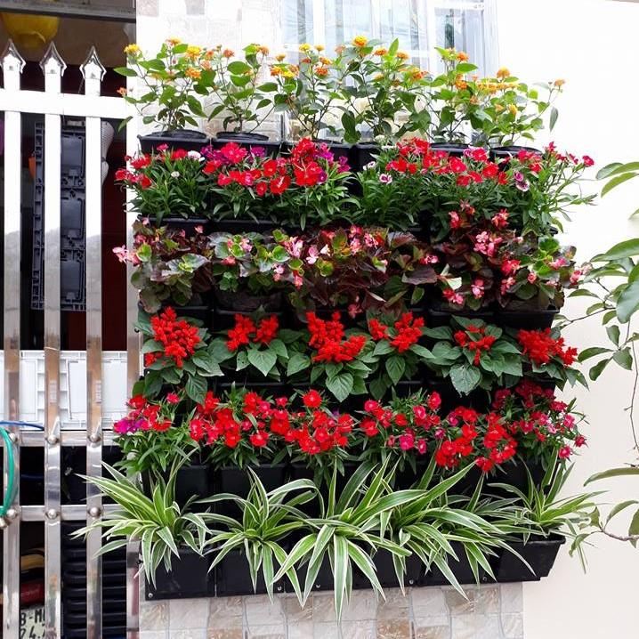 MODUL VƯỜN TƯỜNG TRỒNG HOA